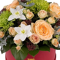 Aranjament din trandafiri, miniroze, crizanteme, eucharis grandiflora, schimia, cutie, rosie 3
