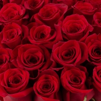 Aranjament din trandafiri roșii 4