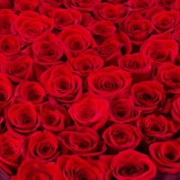 Aranjament din trandafiri roșii sau Cutie cu trandafiri roșii 4