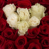 Aranjament din trandafirii roșii și albi  4