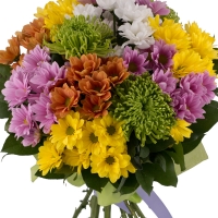 Buchet de 13, Crizanteme, Multicolore, Verdeață 3