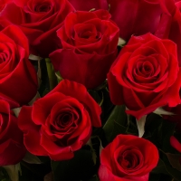 Buchet de 35 Trandafiri roșii 4