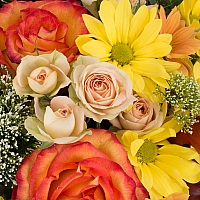 Cos cu trandafiri, miniroze, trahelium si crizanteme,  4