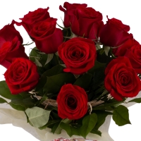 Ofertă, Dragobete 15 Trandafiri Roșii 4