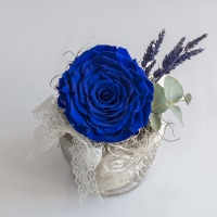Trandafir albastru antic 3