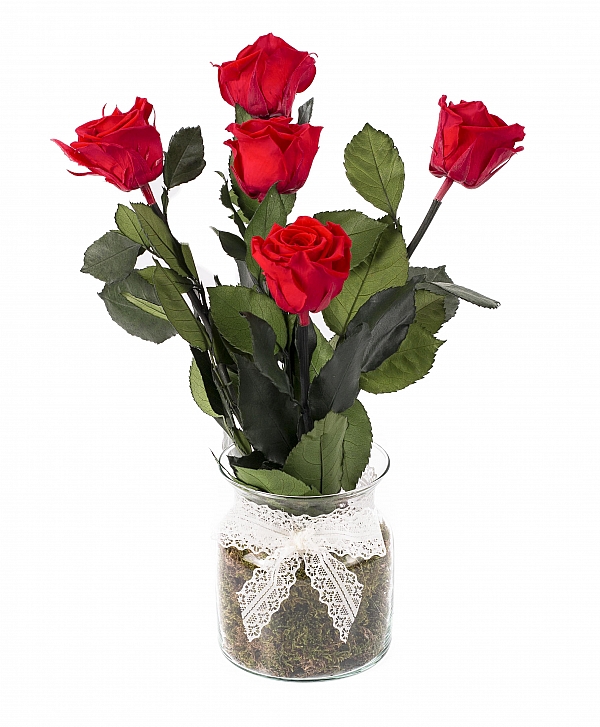 5 Trandafiri Criogenati Rosii in vas de sticla