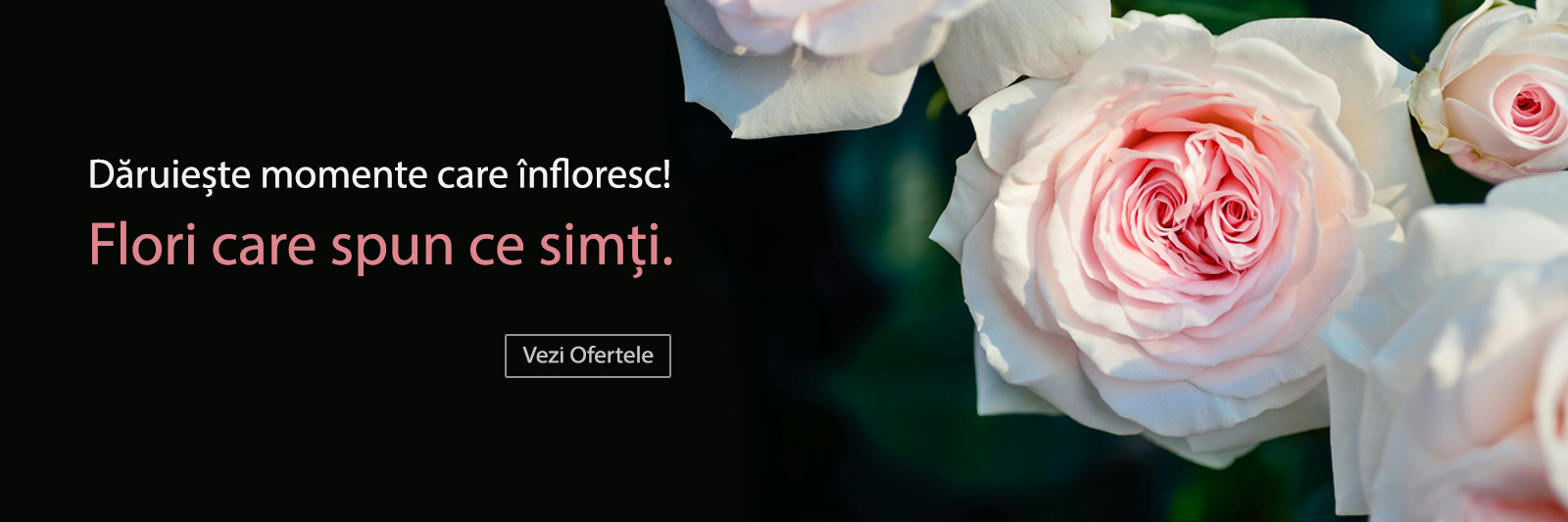 Oferte