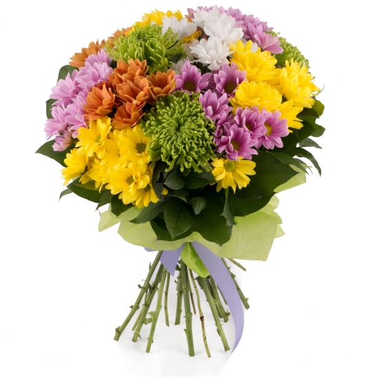 Buchet de 13, Crizanteme, Multicolore, Verdeață