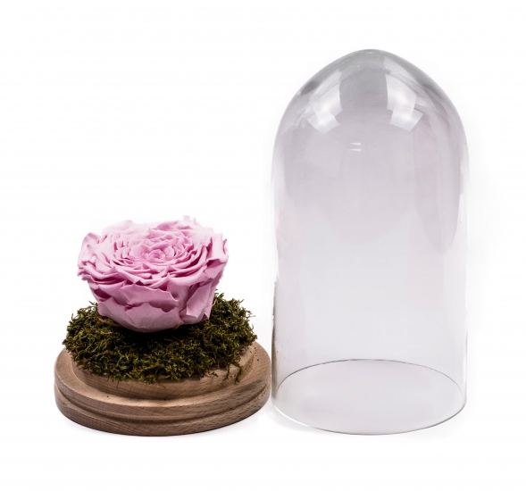 Trandafir criogenat roz în cupolă de sticlă. Trandafir nemuritor, preț accesibil. Cadou floral unic. Comandă online trandafir criogenat cupola sticla.