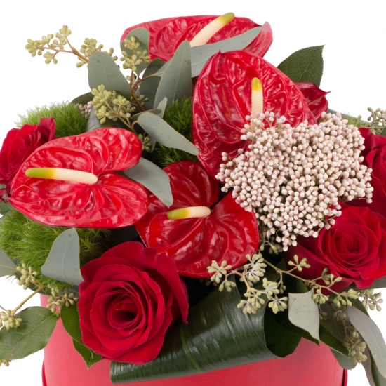 Aranjament de Trandafiri, Anthurium, Green trick, Floare de orez, Verdeață, Cutie, Rotundă, Roșie