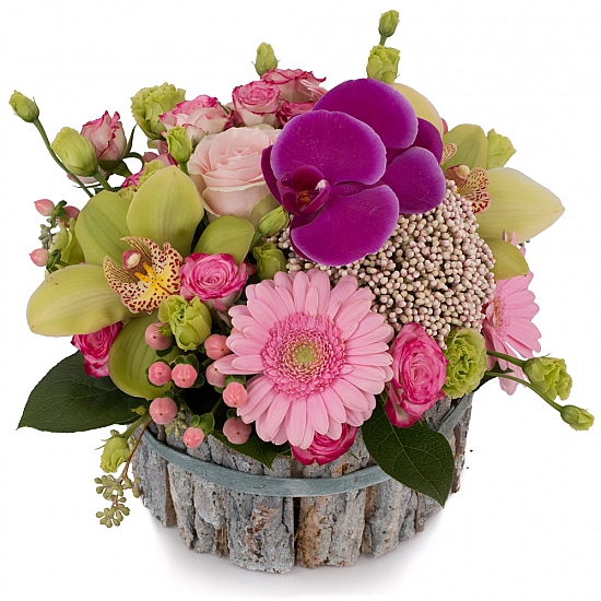 Aranjament din Gerbera, Cymbidium, Orhidee, Floare de orez, Lisianthus, Minirosa, Ciclam, Hypericum
