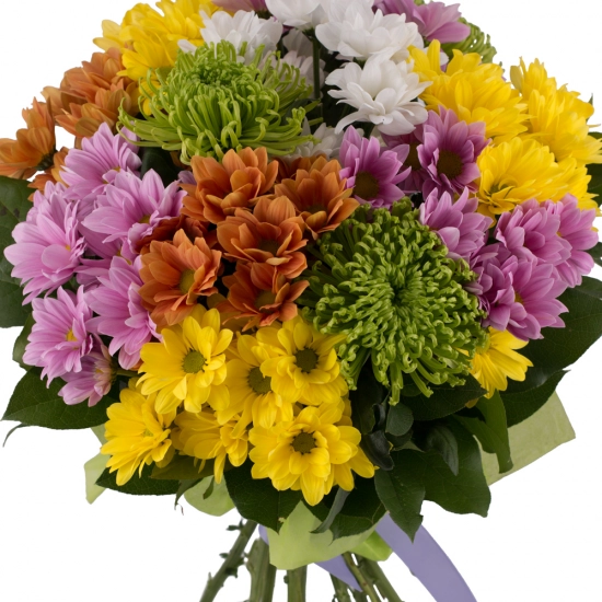 Buchet de 13, Crizanteme, Multicolore, Verdeață
