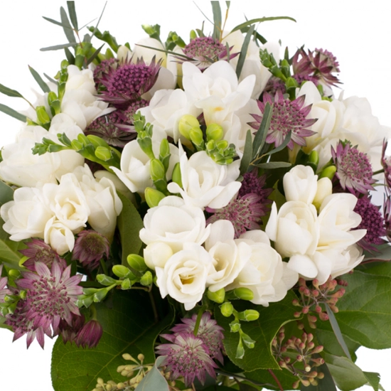 Buchet de 19, Frezii, Albe, Frezie, 10, Astrantia, Grena, Verdeață