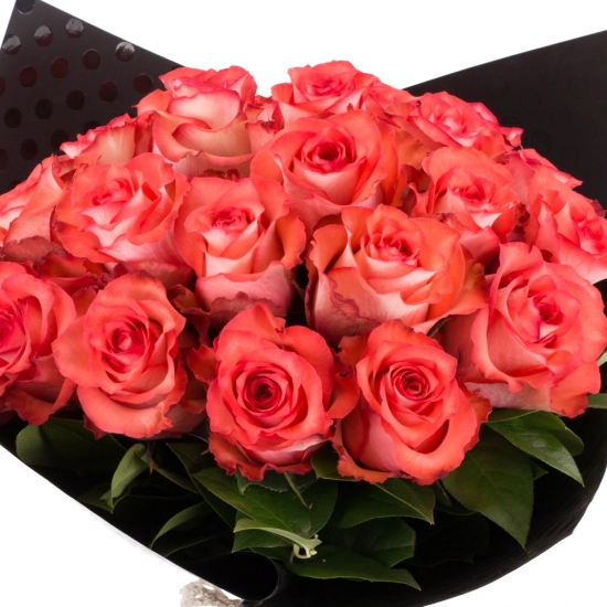 Buchet de 25 Trandafiri corai