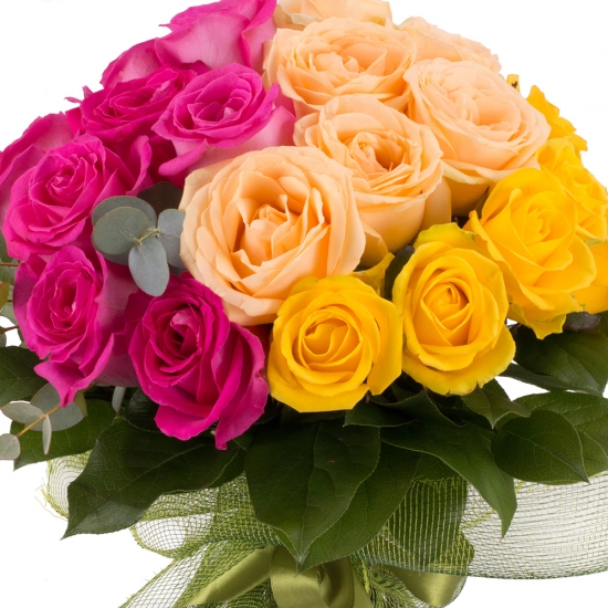 Buchet de 27 Trandafiri tricolori