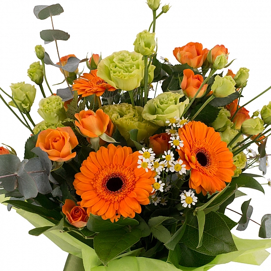 Buchet de 3, Lisianthus, Verde, 5, Gerbera, Portocalie, Portocaliu, 5, Minirosa, Portocalie, Musețel