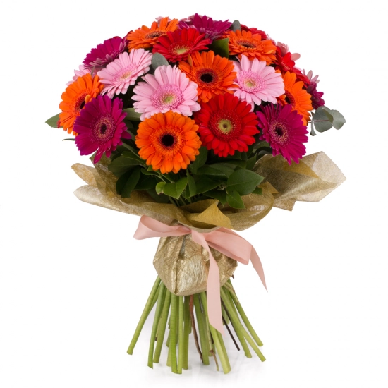 Buchet de 33, Gerbera, Multicoloră, Verdeață