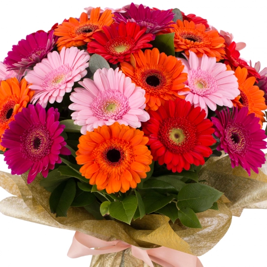 Buchet de 33, Gerbera, Multicoloră, Verdeață