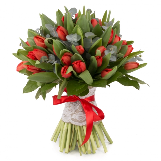 Buchet de 49, Lalele, Roșii, Lalea, Roșie, Roșu, Eucalypt