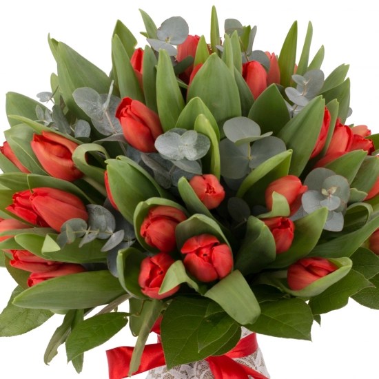 Buchet de 49, Lalele, Roșii, Lalea, Roșie, Roșu, Eucalypt