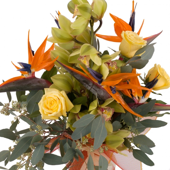 Buchet de 5, Strelitzia, Streliția, 1, Cymbidium, Verde, Orhidee, Verzi, 3, Trandafiri, Galbeni