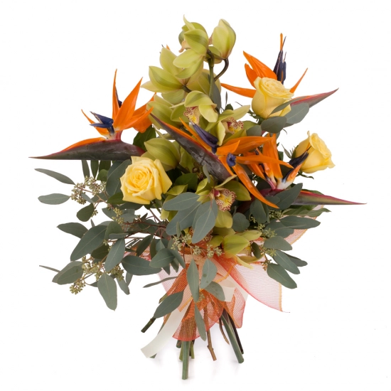 Buchet de 5, Strelitzia, Streliția, 1, Cymbidium, Verde, Orhidee, Verzi, 3, Trandafiri, Galbeni