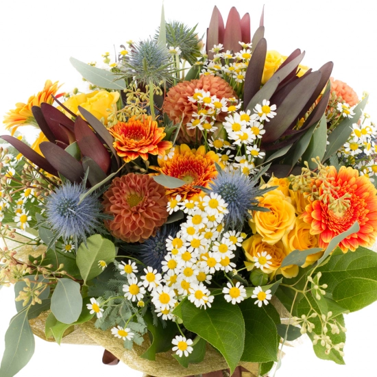 Buchet de Leucadendron, Dalii, Dalie, Gerbera, Minirose, Galbene, Minirosa, Eringium, Mușețel, Verde