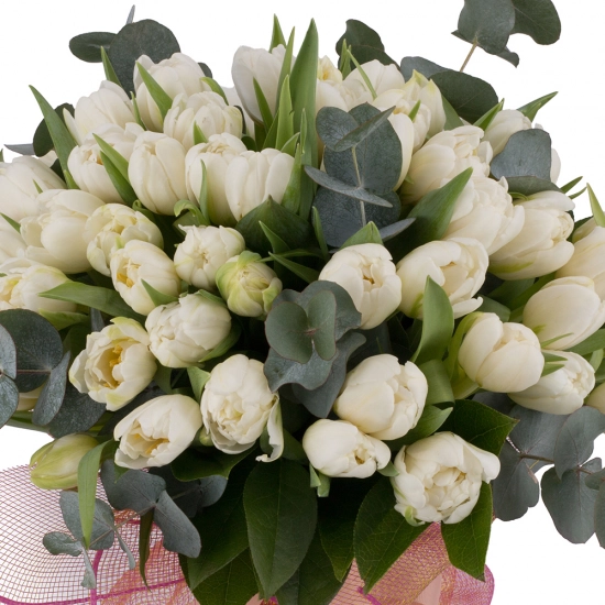 Buchet din 49, Lalele, Albe, Lalea, Verdeață