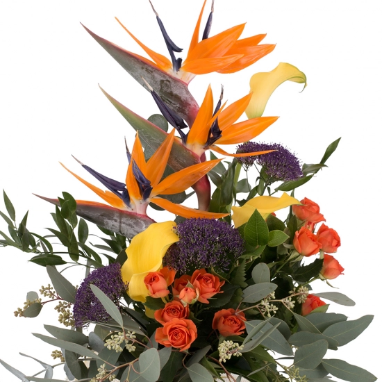 Buchet din Streliția, Strelitzia, Trahelium Mov, Cale galbene, Cală, Minirosa portocalie, Portocaliu