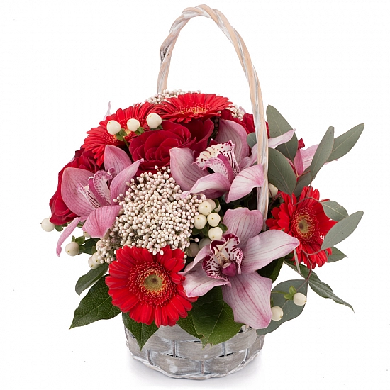 Buchet din Trandafiri, Roșii, Gerbera, Floare de orez, Hypericum, Cymbidium, Orhidee, Verdeață, Coș