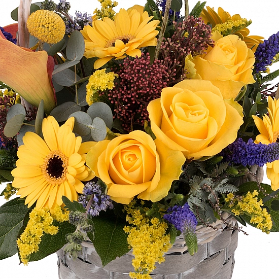 Coș cu gerbera, trandafiri, cale