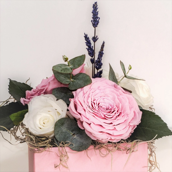 Cutie trandafiri criogenati 