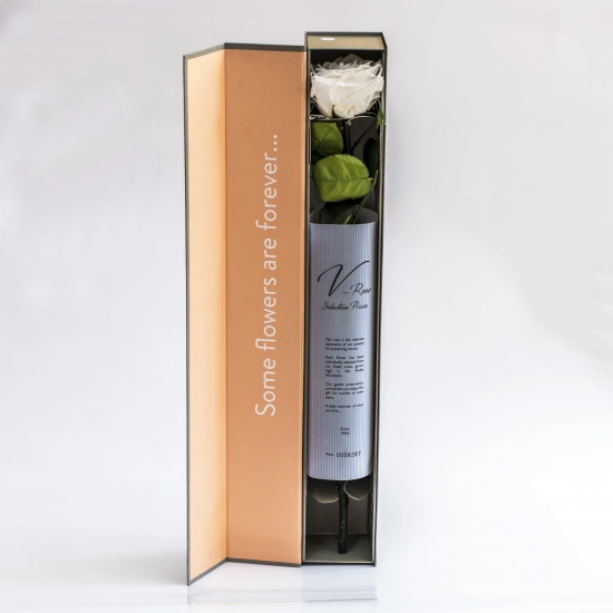 Trandafir alb elegant