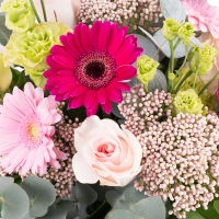 Buchet de 7, Trandafiri, Peach, 3, Gerbera, Mov, 2, Gerbera, Roz, 3, Floare de orez, 2, Lisianthus 4