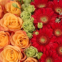 Aranjament de 10 Trandafiri, Portocalii, Portocaliu, Gerbera, Roșii, Roșu, Roșie, Lisianthus, Verde 4