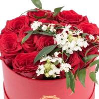 Aranjament de 13, Trandafiri, Roșii, Roșu, Roșie, 2, Ornitogalum, 1, Euphorbia, Albă, Cutie, Rotundă 3