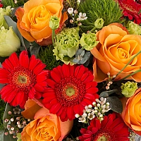 Aranjament de Trandafiri, Portocalii, Portocaliu, Gerbera, Green trick, Lisianthus, Waxflower, Verde 4