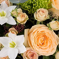 Aranjament din trandafiri, miniroze, crizanteme, eucharis grandiflora, schimia, cutie, rosie 4