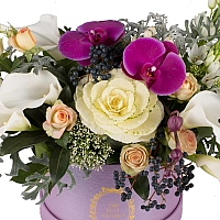Aranjament floral cu miniroze, cale, ornitogalum, trahelium, viburnum, hypericum sipPhalaenopsis 3