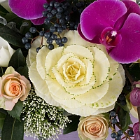 Aranjament floral cu miniroze, cale, ornitogalum, trahelium, viburnum, hypericum sipPhalaenopsis 4