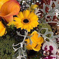 Aranjament floral din trandafiri, cale, orhidee, menta, phalaenopsis, schimia, craspedia, ami 4