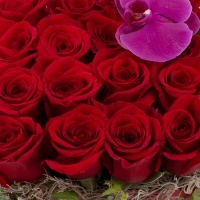 Aranjament floral din trandafiri și orhidee 4