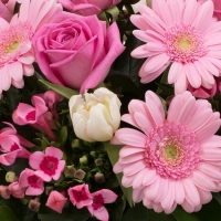 Buchet 5, Trandafiri, Roz, Trandafir, 7, Gerbera, 5, Bouvardia, 10, Lalele, Albe, Lalea, Verdeață 4