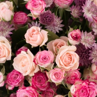 Buchet de 10, Minirosa, Roz, 9, Minirosa, Ciclam, Astratia, Mov, Verdeață 4