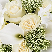 Buchet de 11, Trandafiri, Albi, 10, Cale, Albe. Cală, 2, Eucharis, Grandiflora, Verdeață 4