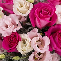 Buchet de 11, Trandafiri, Ciclam, 7, Lisianthus, Roz, Senecio, Cineraria, Verdeață 4