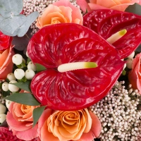 Buchet de 11, Trandafiri, Roz, 5, Anthurium, Roșii, Roșu, 4, Floare de orez, 6, Hypericum, Alb 4