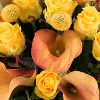 Buchet de 13, Trandafiri, Galbeni, 9, Cale, Pportocalii, Cală, Portocaliu, 3 Craspedia, Verdeață 4