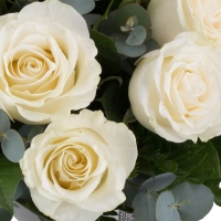 Buchet de 15 Trandafiri albi 4
