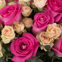 Buchet de 15, Trandafiri, Ciclam, 7, Minirosa, Crem, Verdeață 4